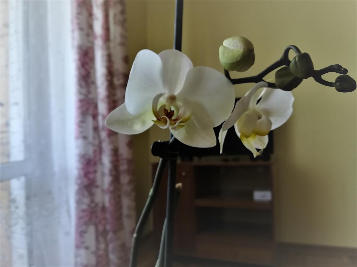 Apartament Na Adamkovskoy Διαμέρισμα Βρέστη Εξωτερικό φωτογραφία
